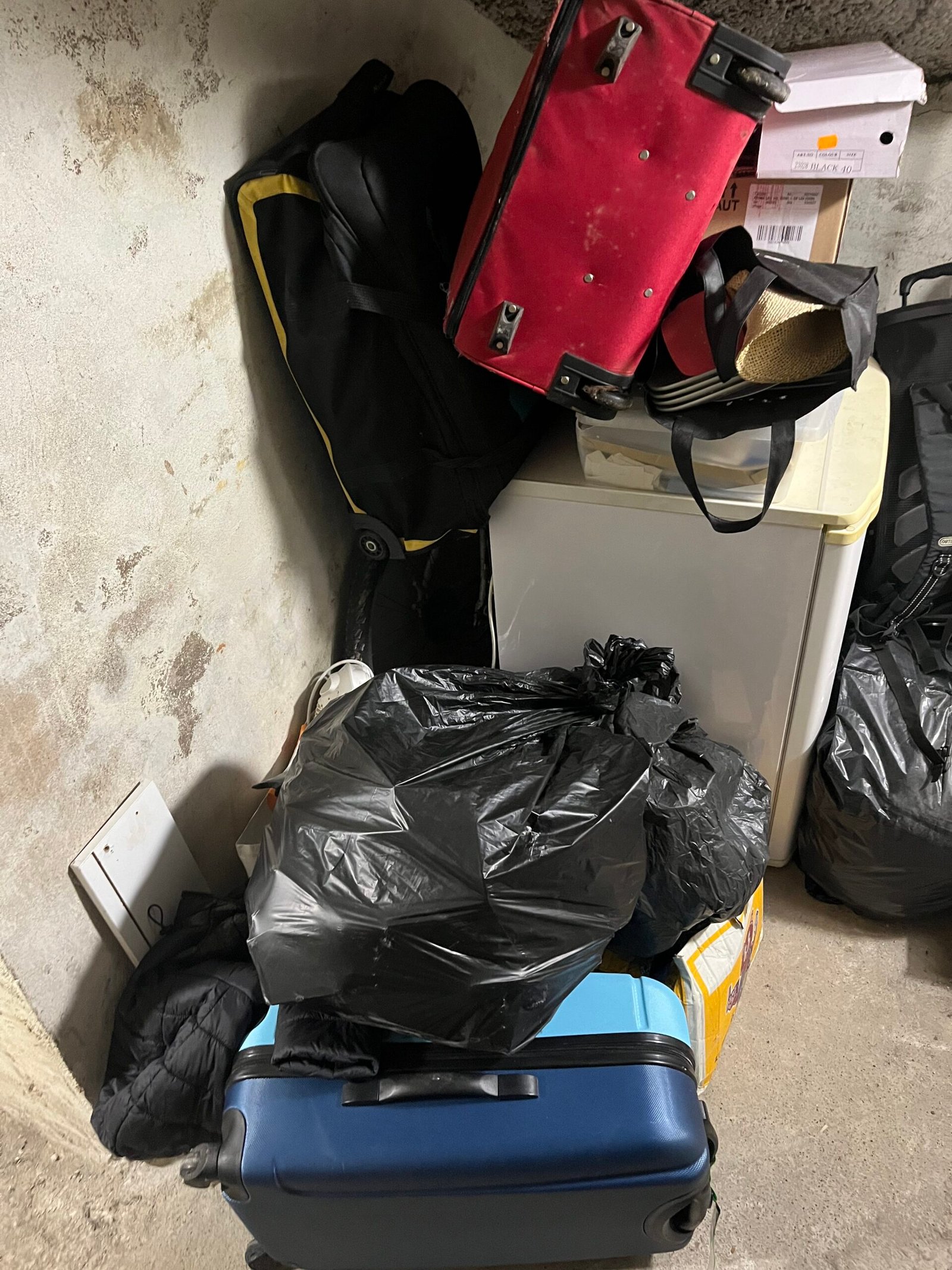 Service de débarras à Strasbourg – appartement, maison, cave et locaux professionnels